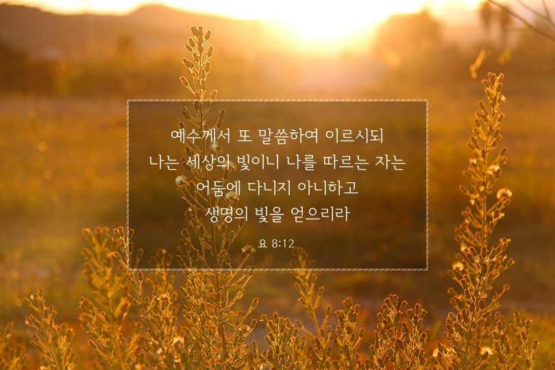 요한복음 8장 12절